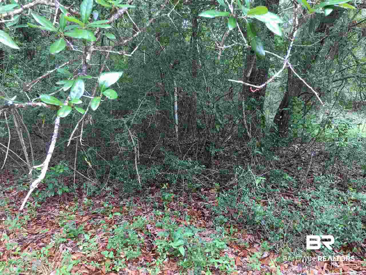 0 New Hope Church Road Robertsdale, AL 36567 - Photo 7 of 17
