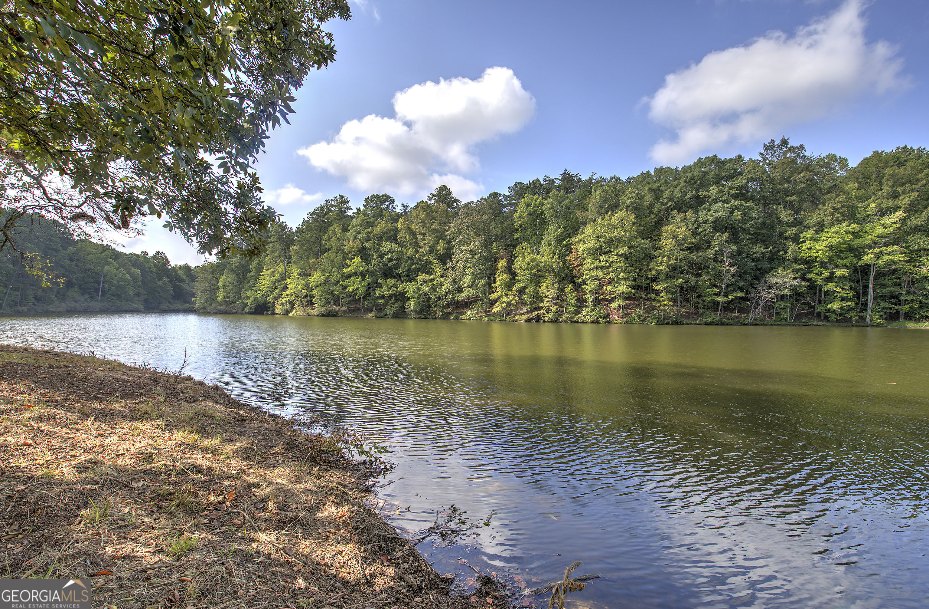 1218 Hightower Road Cedartown, GA 30125 - Photo 20 of 111 Gallery Image 20