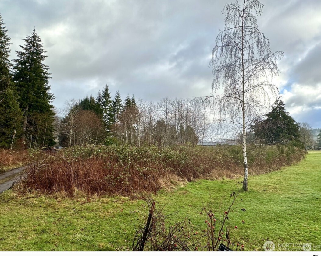 9999 Merchant Road Forks, WA 98331 - Photo 4 of 4 a backyard of a house