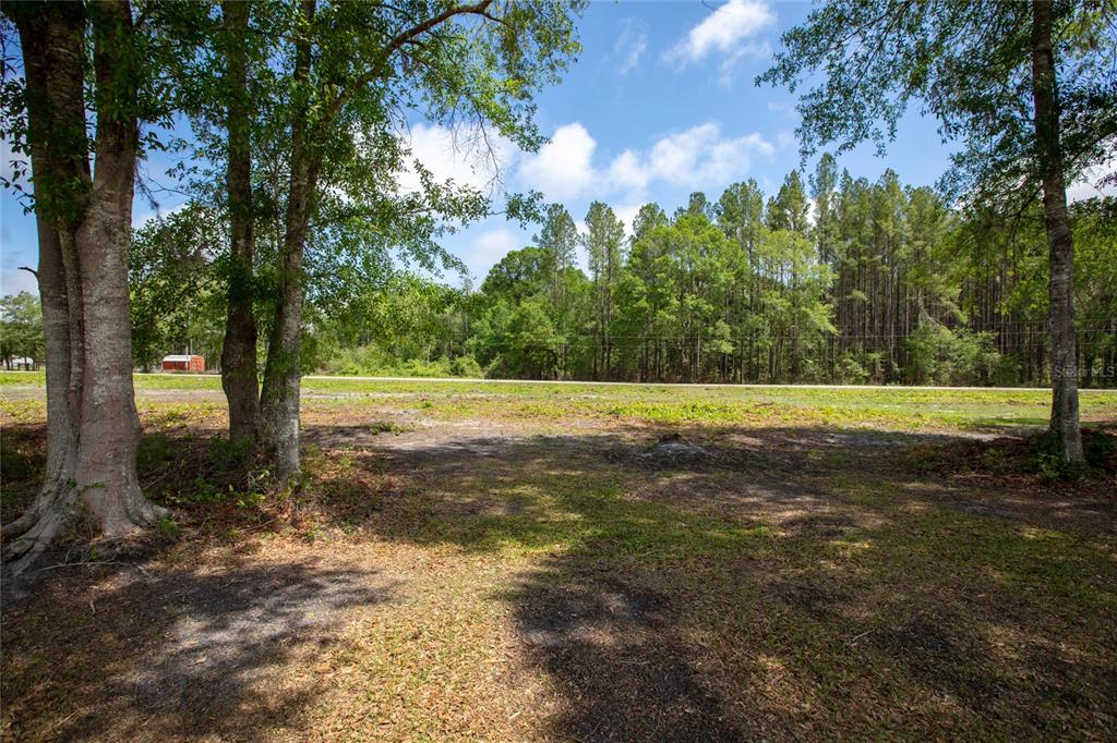 Northwest 185th Street Starke, FL 32091 - Photo 9 of 19 a view of a yard with a tree