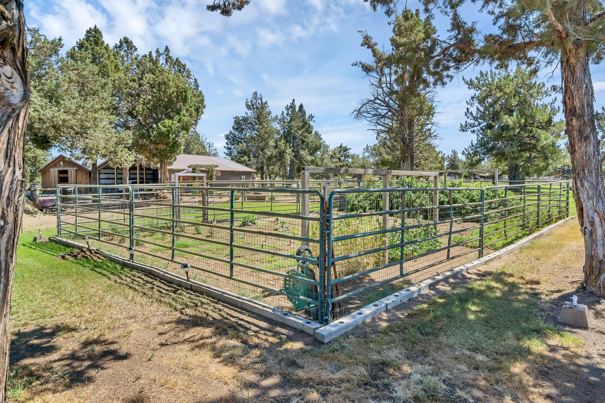 62174 Cody Jr Road Bend, OR 97701 - Photo 28 of 64 DSC06809