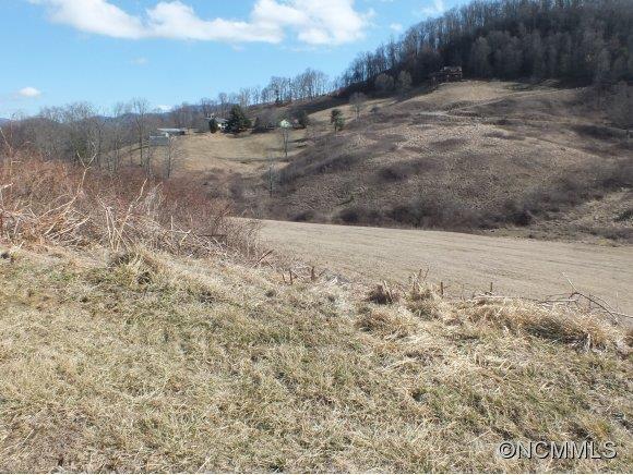 7 Gods Country Road, Unit 7 Waynesville, NC 28785 - Photo 2 of 20 a view of a yard with trees in the background