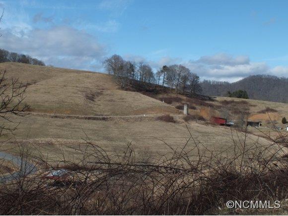 7 Gods Country Road, Unit 7 Waynesville, NC 28785 - Photo 11 of 20 a view of a dry yard