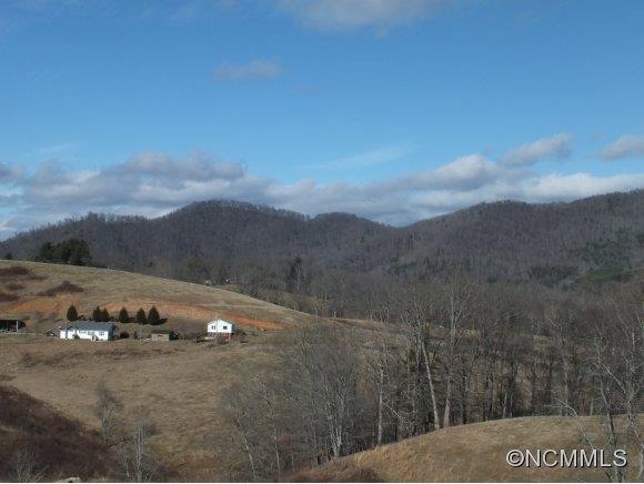 7 Gods Country Road, Unit 7 Waynesville, NC 28785 - Photo 15 of 20 a view of a dry yard with green space