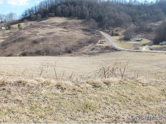 7 Gods Country Road, Unit 7 Waynesville, NC 28785 - Photo 3 of 20 a view of a yard