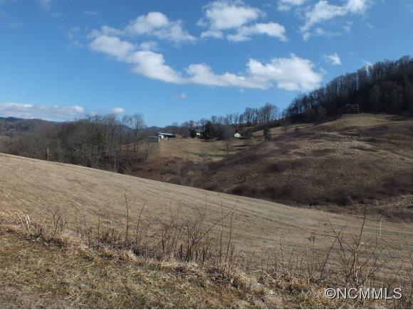 7 Gods Country Road, Unit 7 Waynesville, NC 28785 - Photo 4 of 20 a view of a dry yard