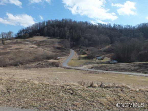 7 Gods Country Road, Unit 7 Waynesville, NC 28785 - Photo 5 of 20 a view of a dry yard with wooden fence