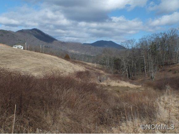 7 Gods Country Road, Unit 7 Waynesville, NC 28785 - Photo 9 of 20 a view of a dry yard with mountains in the background