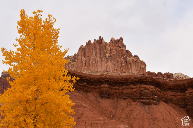 213 South 975 West, Unit 4 Torrey, UT 84775 - Photo 28 of 34 Fall colors in Capitol Reef National Park