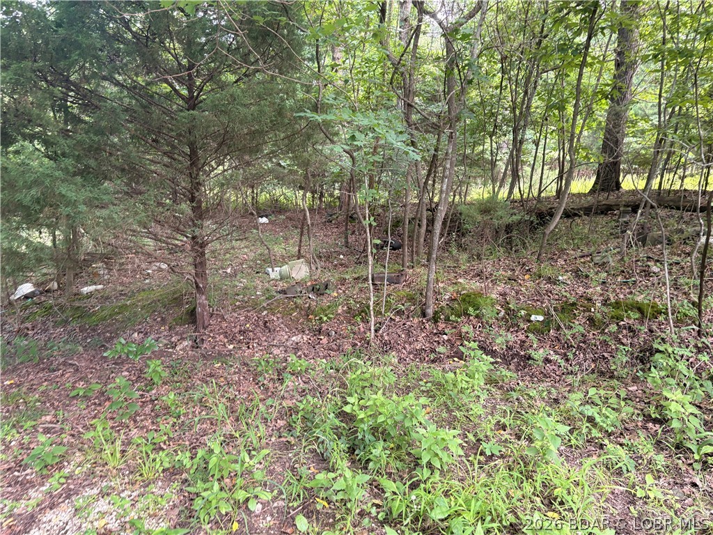 Tbd Silver Moon Resort Road Gravois Mills, MO 65037 - Photo 12 of 22