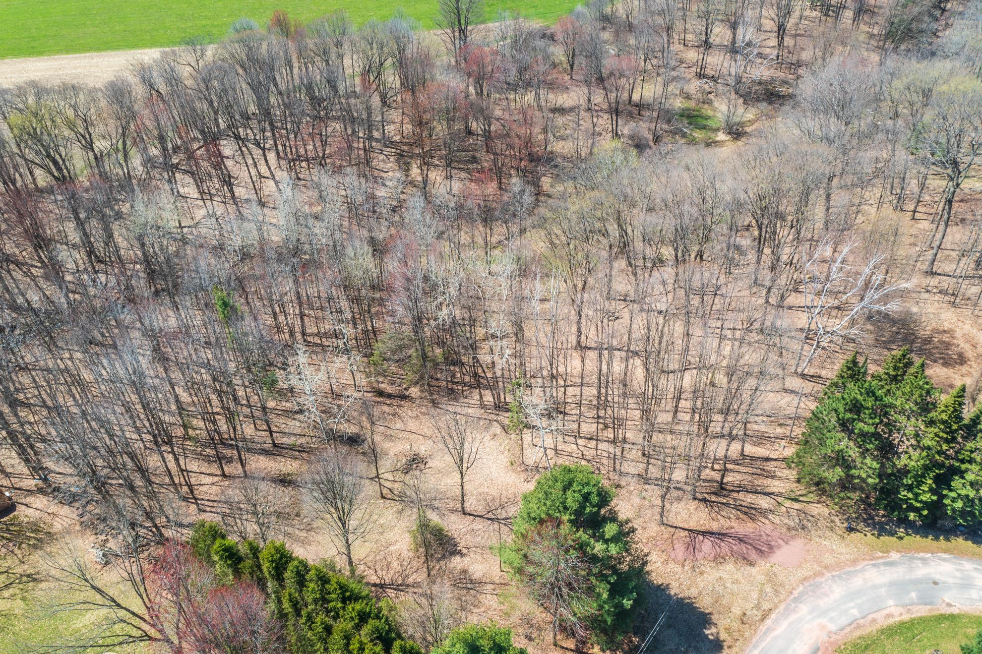 Canyon Road Wausau, WI 54403 - Photo 12 of 26