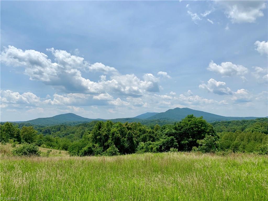 1415 Mission Road Danbury, NC 27016 - Photo 2 of 20