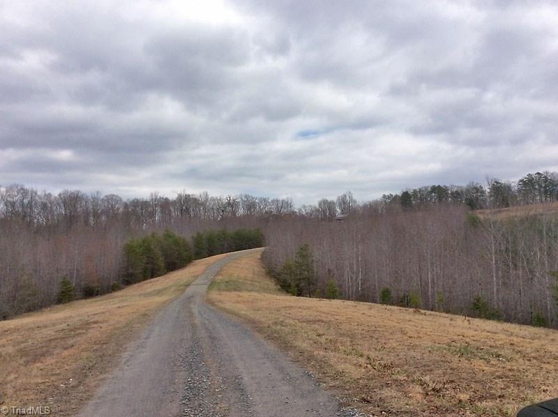 1415 Mission Road Danbury, NC 27016 - Photo 3 of 20