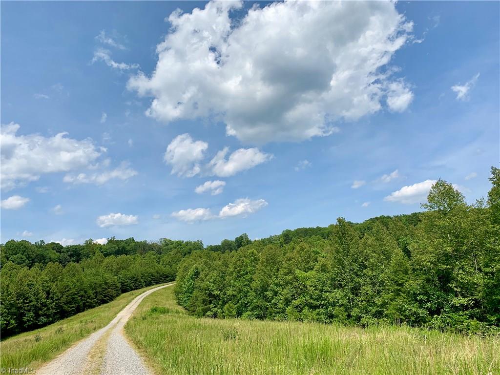 1415 Mission Road Danbury, NC 27016 - Photo 4 of 20