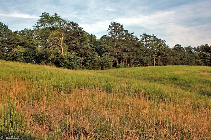 1415 Mission Road Danbury, NC 27016 - Photo 7 of 20
