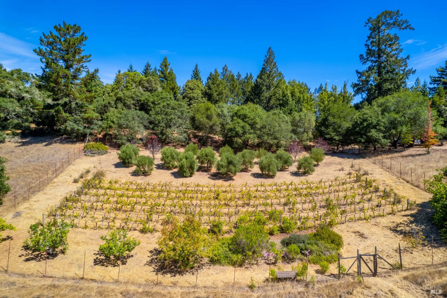 11901 Clow Ridge Road Philo, CA 95466 - Photo 46 of 55 Gallery Image 46