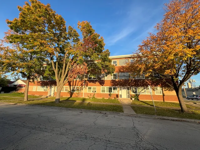 a view of a yard with plants and trees