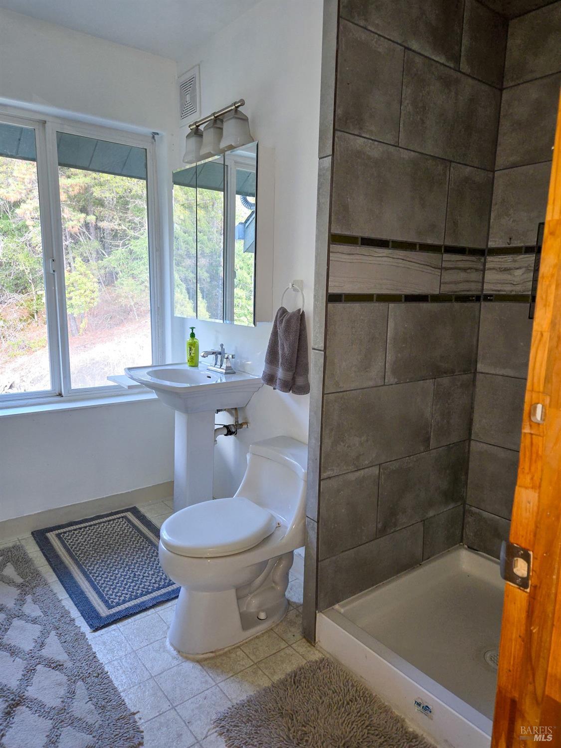 47111 Fox Rock Road Laytonville, CA 95454 - Photo 21 of 44 a bathroom with a toilet and a shower