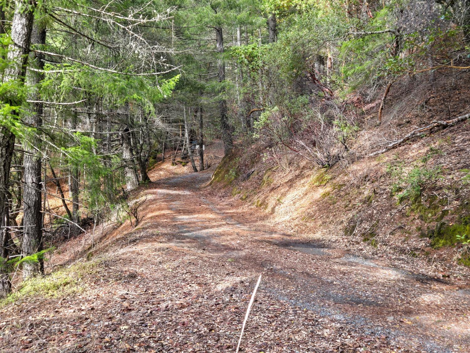 47111 Fox Rock Road Laytonville, CA 95454 - Photo 43 of 44 a view of yard