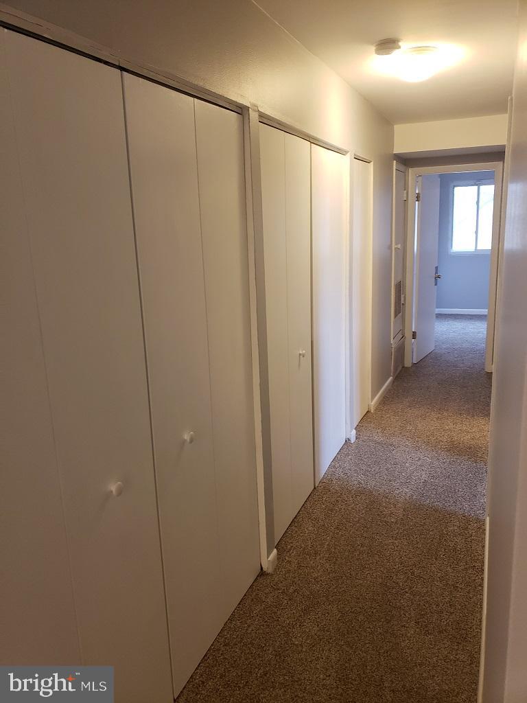 12005 Tarragon Road, Unit H Reisterstown, MD 21136 - Photo 5 of 8 Hallway with lots of storage