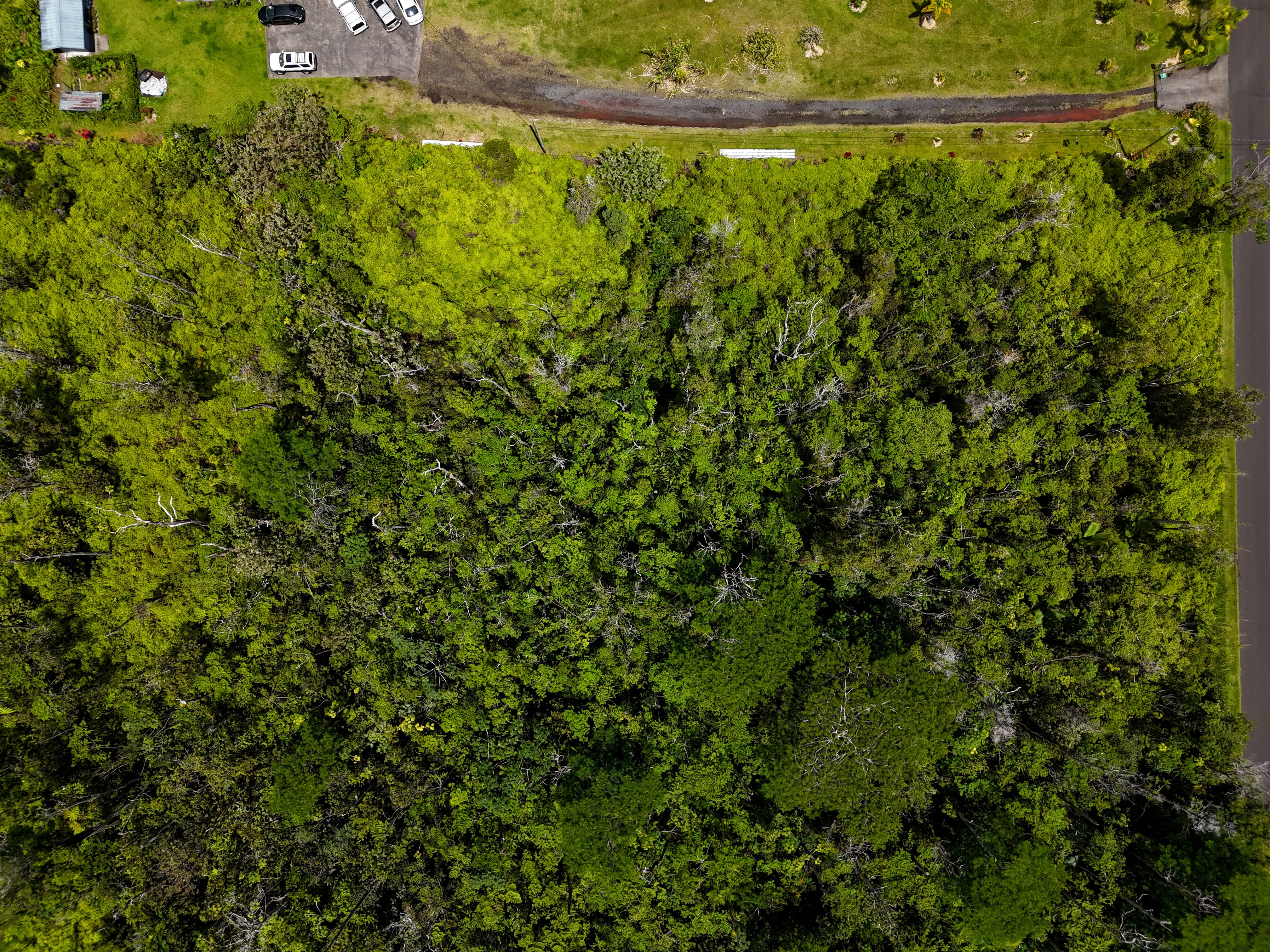 13-3528 Kupono Street Pahoa, HI 96778 - Photo 6 of 11