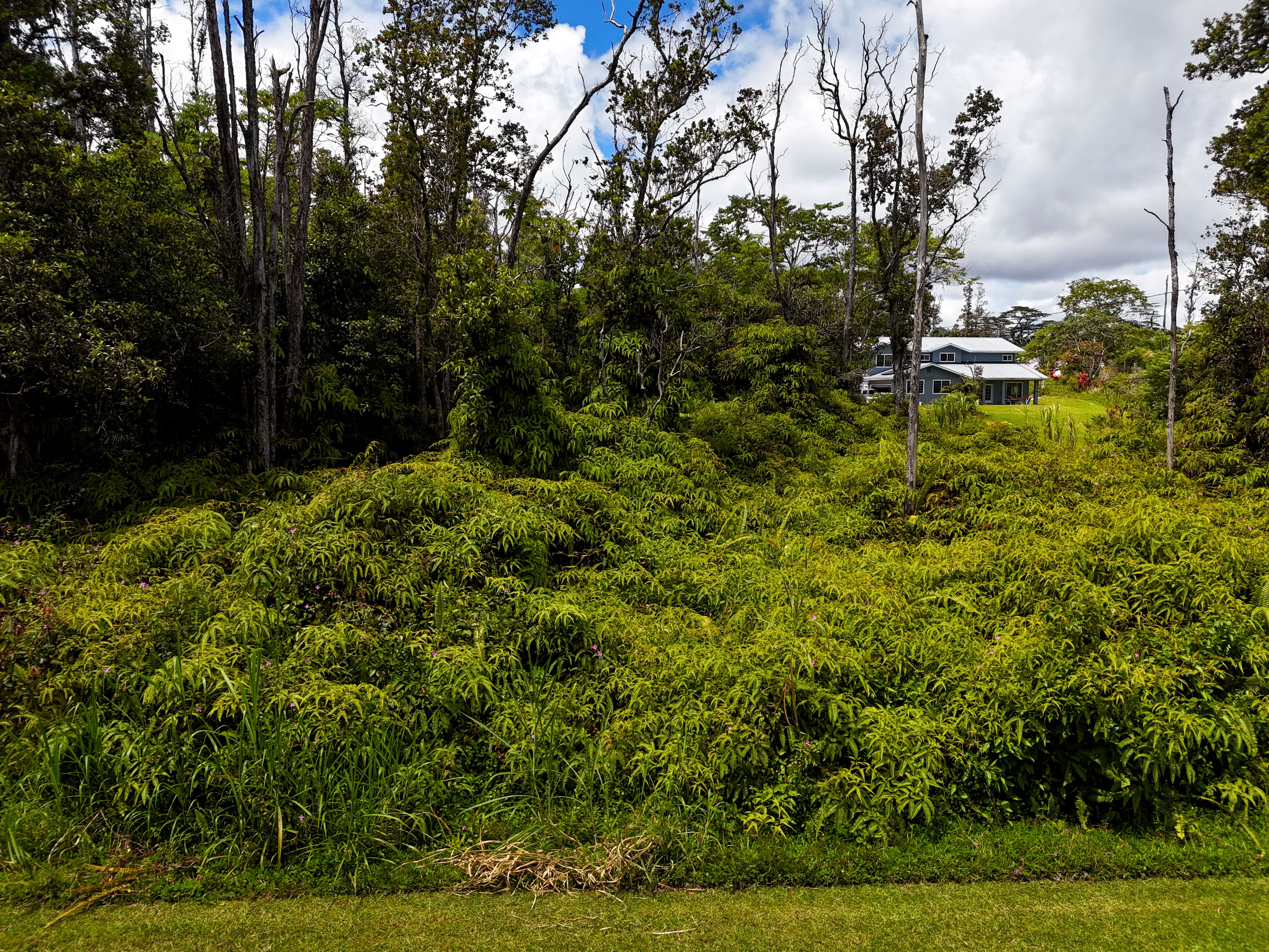13-3528 Kupono Street Pahoa, HI 96778 - Photo 7 of 11