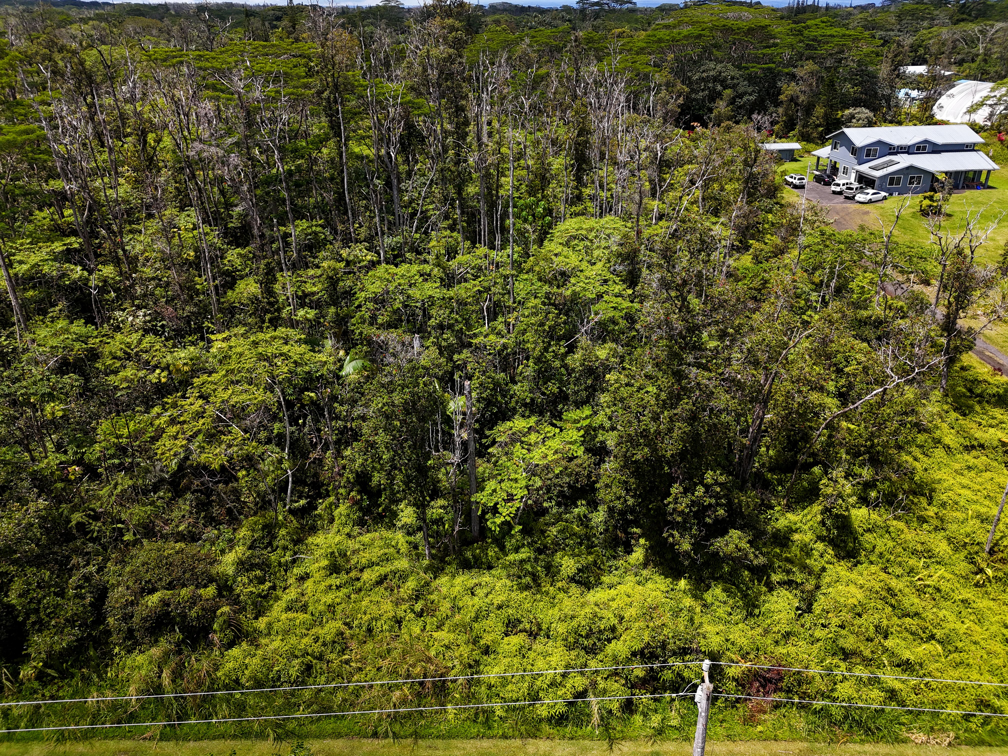 13-3528 Kupono Street Pahoa, HI 96778 - Photo 8 of 11