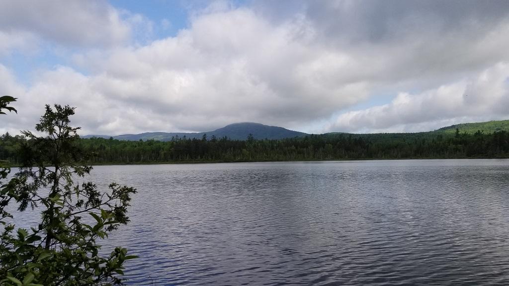 0 Stratton Road Dallas Plt, ME 04970 - Photo 16 of 39 20180608_083447