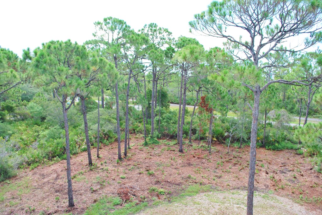 1947 Indian Harbor Road St. George Island, FL 32328 - Photo 29 of 45