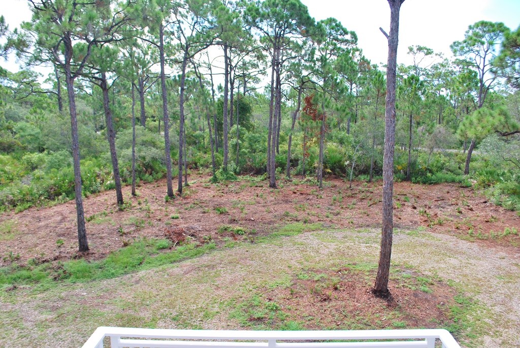 1947 Indian Harbor Road St. George Island, FL 32328 - Photo 30 of 45