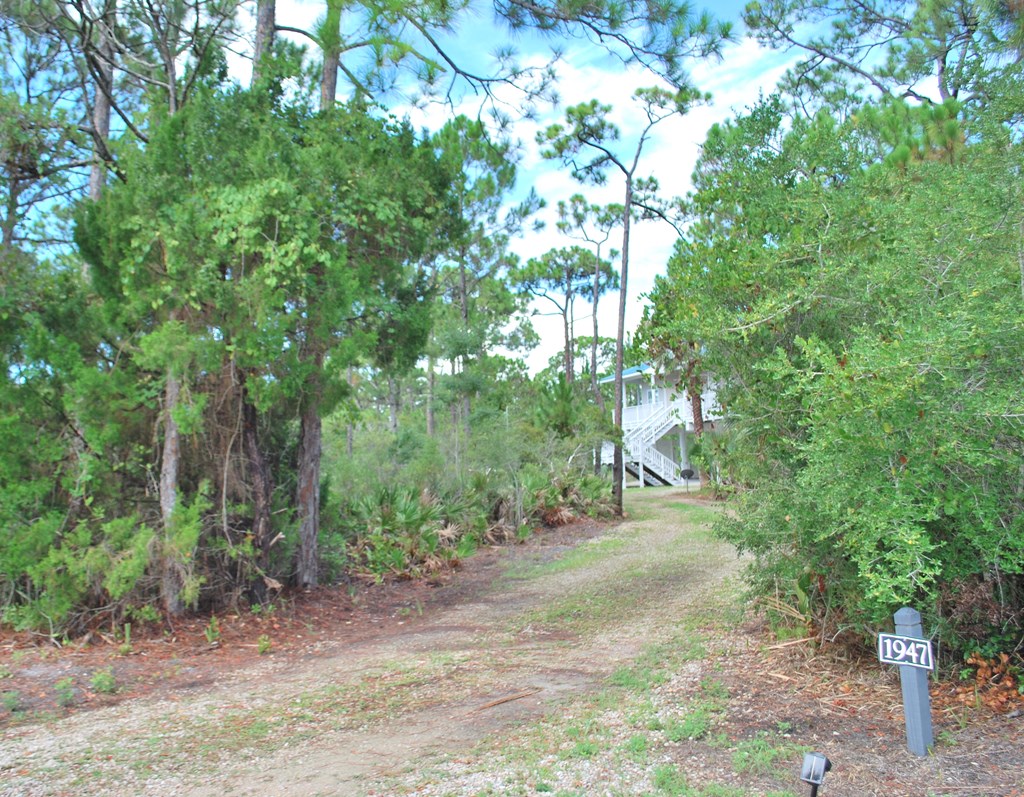 1947 Indian Harbor Road St. George Island, FL 32328 - Photo 36 of 45