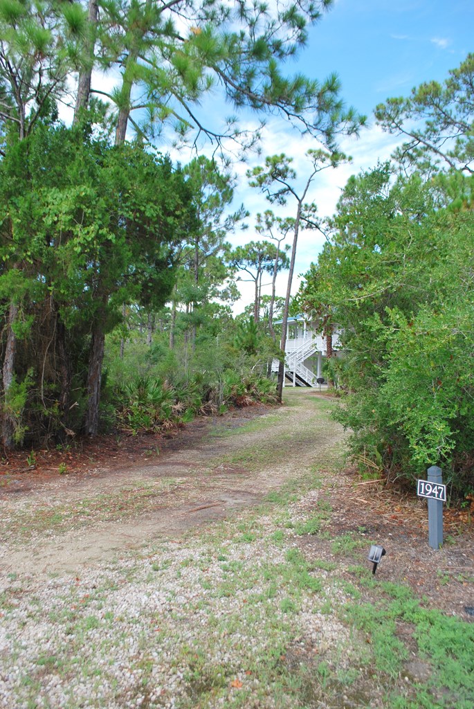 1947 Indian Harbor Road St. George Island, FL 32328 - Photo 37 of 45