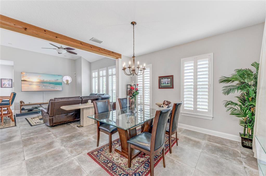 5401 Cafrey Place Apollo Beach, FL 33572 - Photo 9 of 43