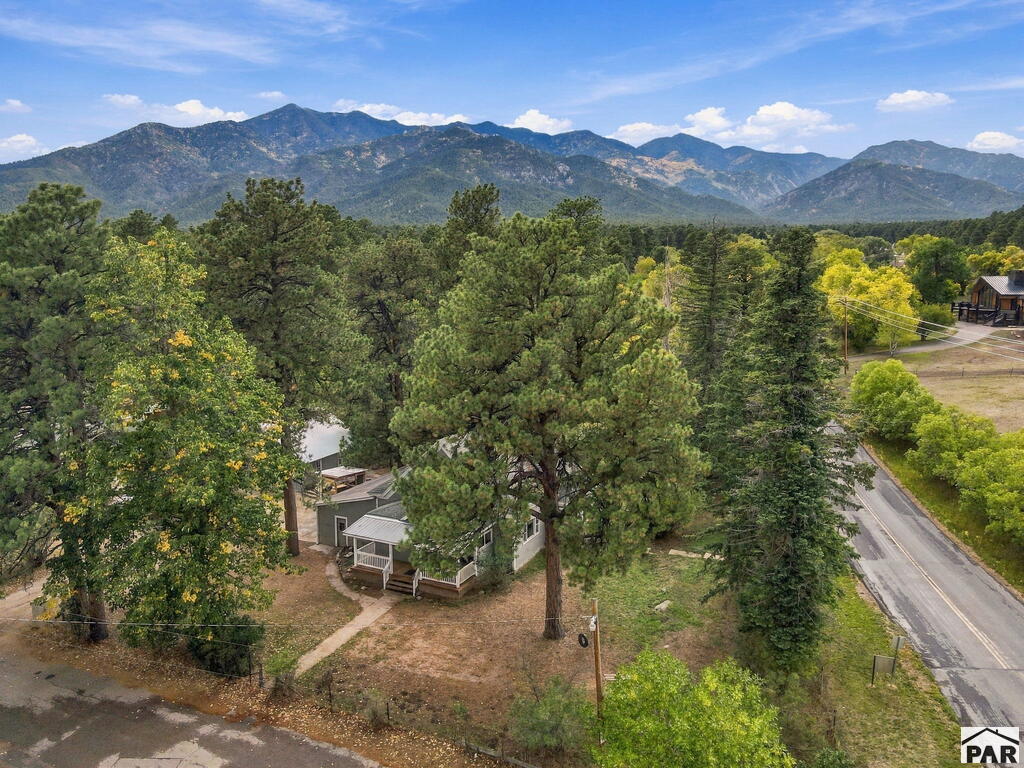 6037 Columbine Street Rye, CO 81069 - Photo 91 of 99 Gallery Image 91