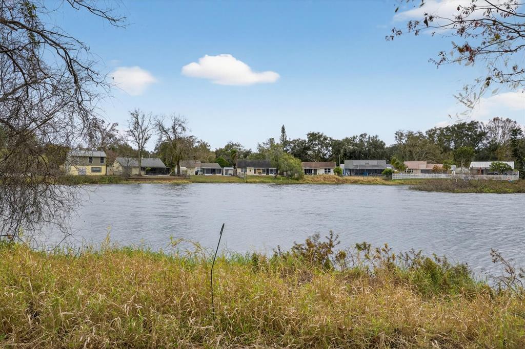 16112 Foxfire Drive Tampa, FL 33618 - Photo 5 of 38