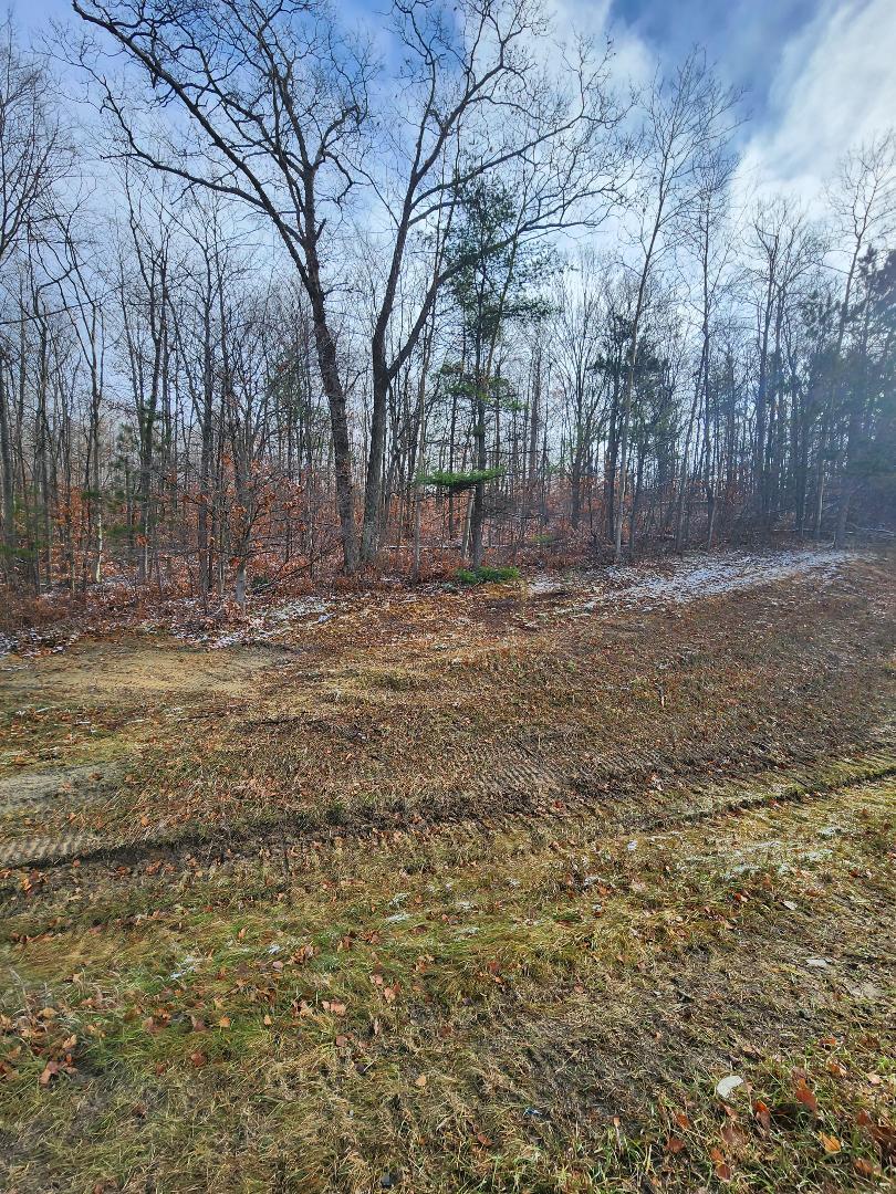 Marlette Road Frederic, MI 49733 - Photo 7 of 25 Gallery Image 7