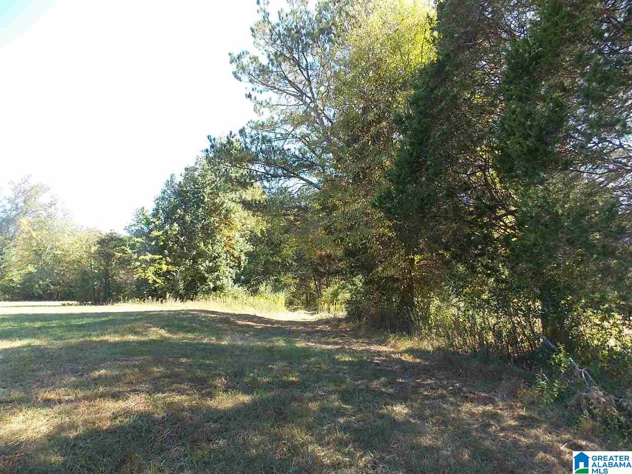 680 Brooks Lane Oneonta, AL 35121 - Photo 22 of 27