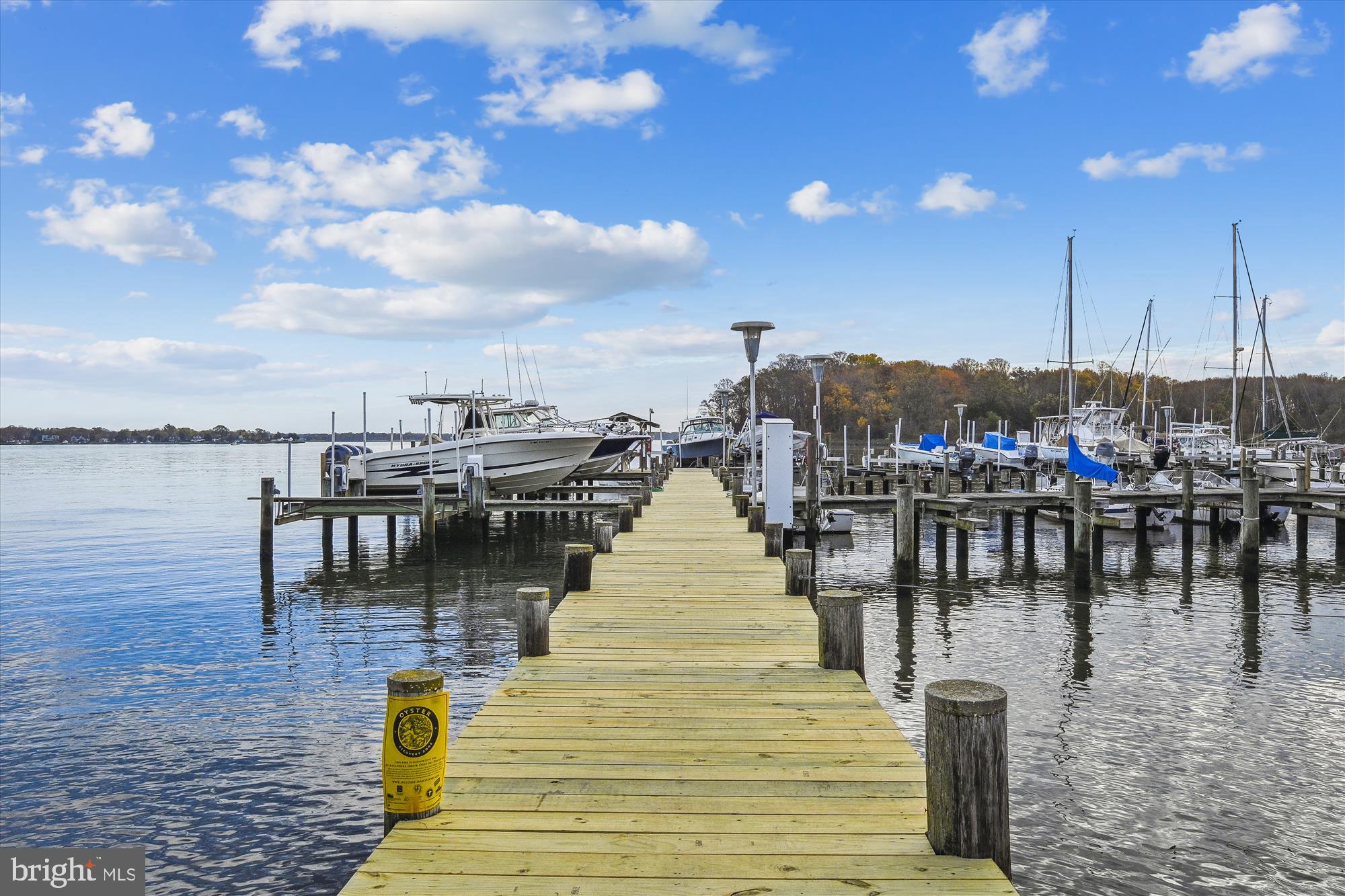 444 Maple Leaf Drive Edgewater, MD 21037 - Photo 58 of 71