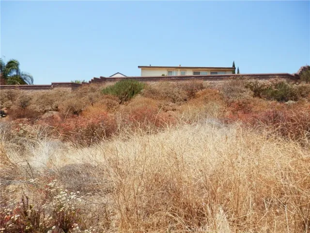 a view of a dry yard with mountains in the background