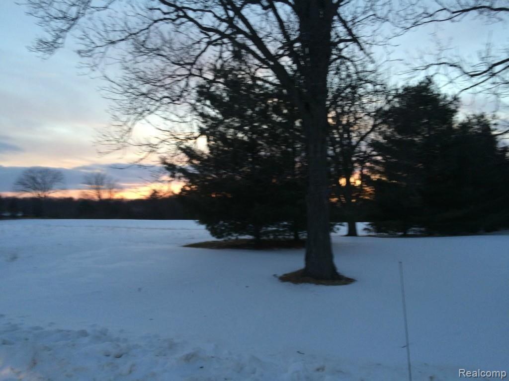 Vac North Cedar Road Fowlerville, MI 48836 - Photo 5 of 9