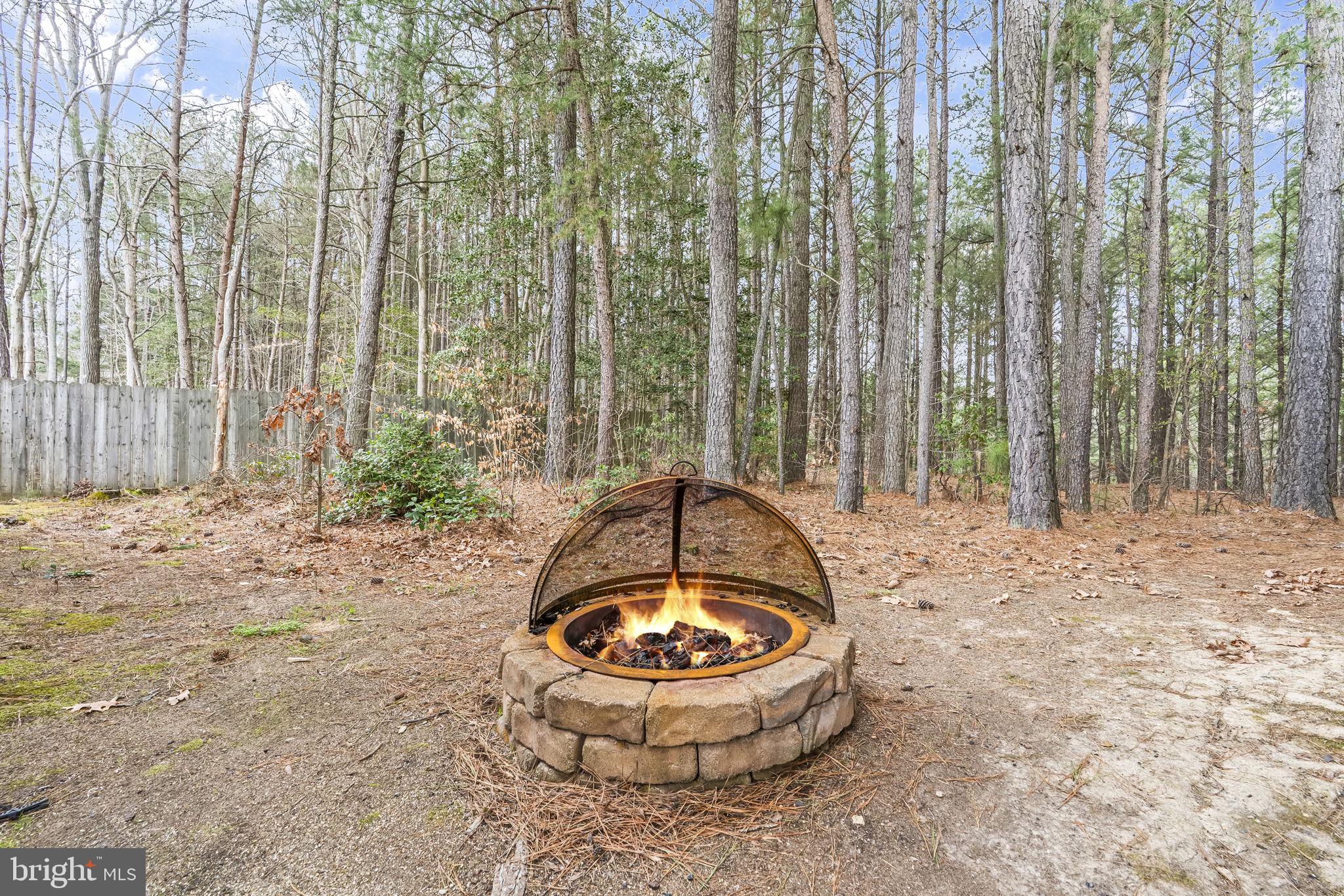 12345 H G Trueman Road Lusby, MD 20657 - Photo 31 of 38 Peaceful wooded backyard area