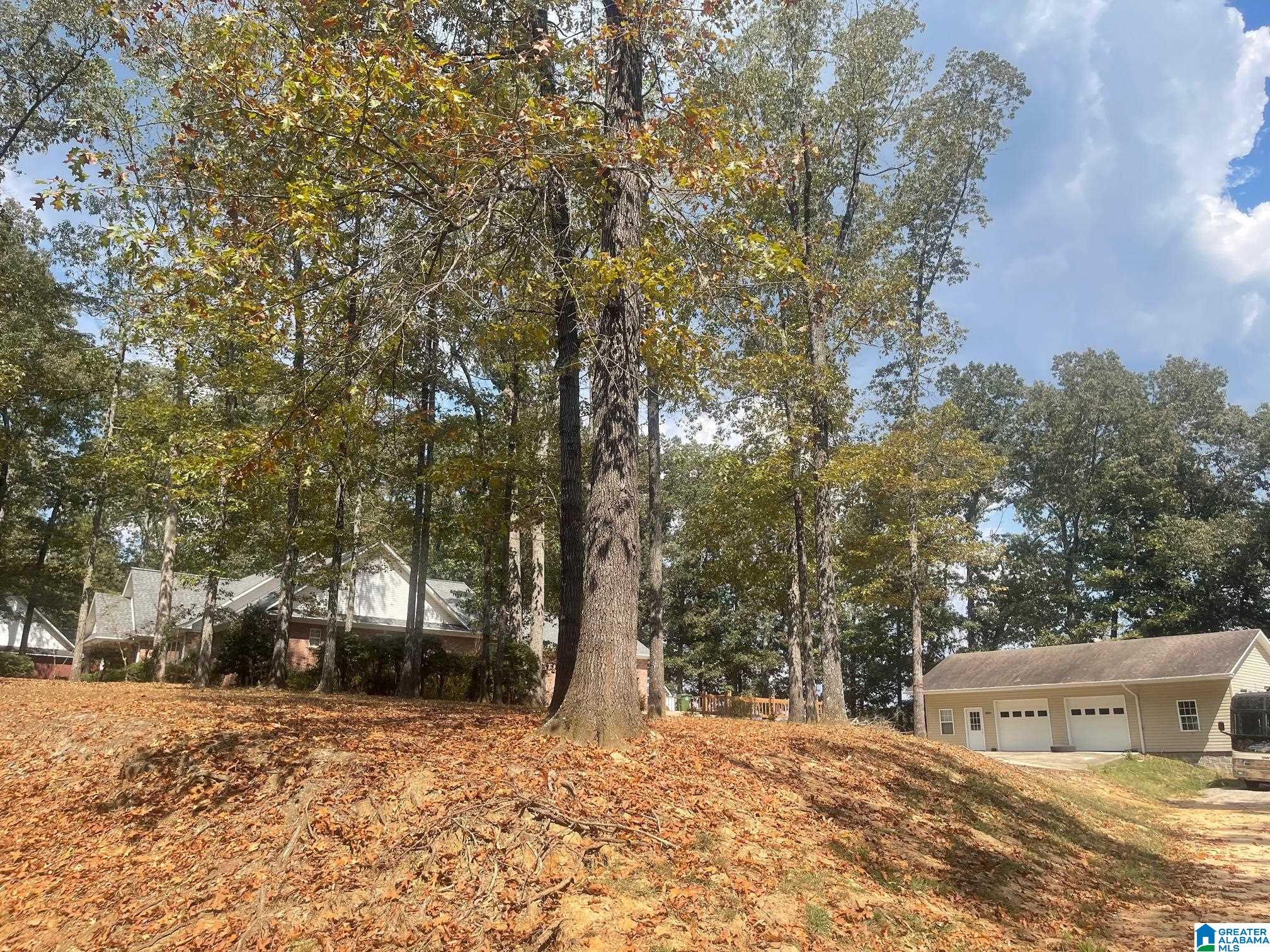 3807 Turkey Run, Unit 87 Jasper, AL 35504 - Photo 4 of 7