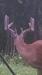 $749,900 | 32302 South State Route West, Archie, MO 64725