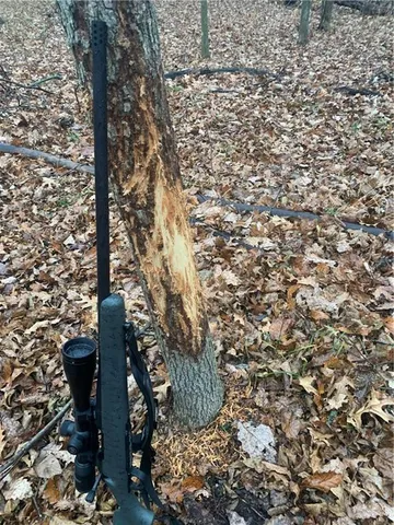 $749,900 | 32302 South State Route West, Archie, MO 64725