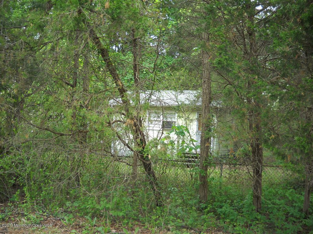 33 Kuzyk Road Cream Ridge, NJ 08514 - Photo 4 of 6 Carter 003 (Medium)