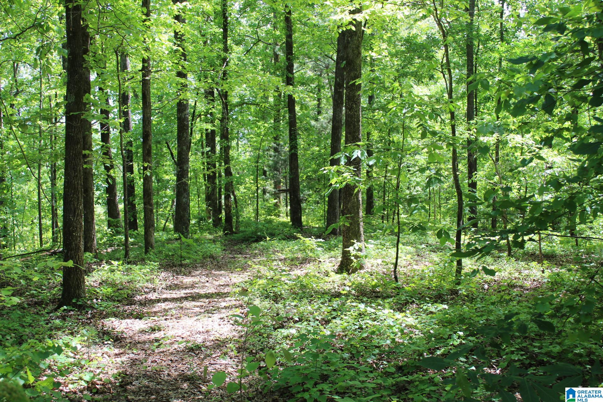 270 Duke School Road Wellington, AL 36279 - Photo 70 of 80