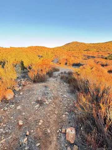 a view of an outdoor space with a lake view