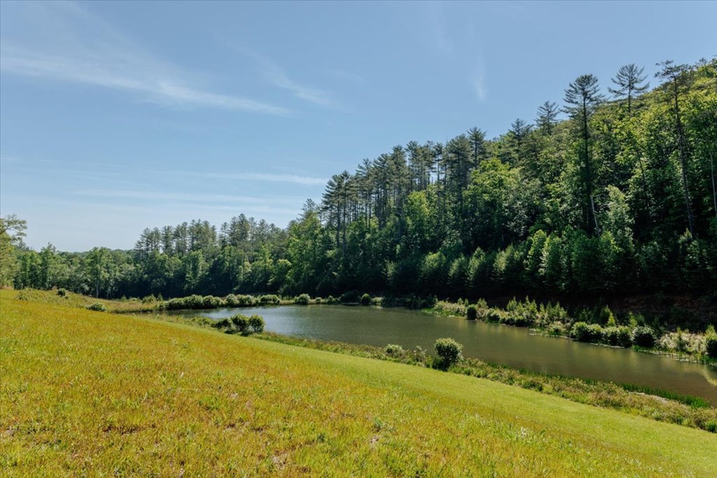 5260 Hardscrabble Road Mineral Bluff, GA 30559 - Photo 15 of 52