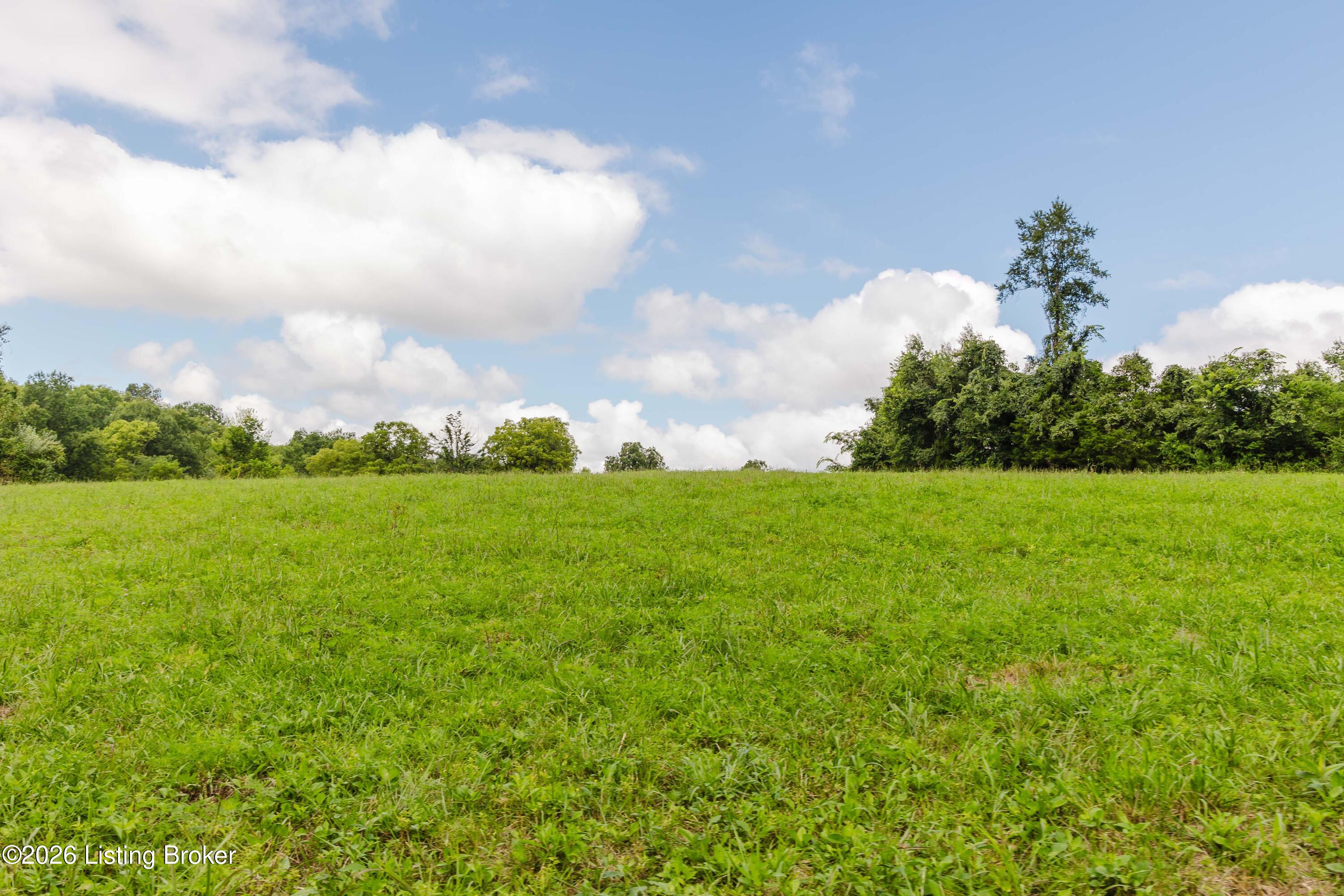 7438 Bagdad Road Bagdad, KY 40003 - Photo 20 of 78 7438 and 5015 Bagdad Rd-19