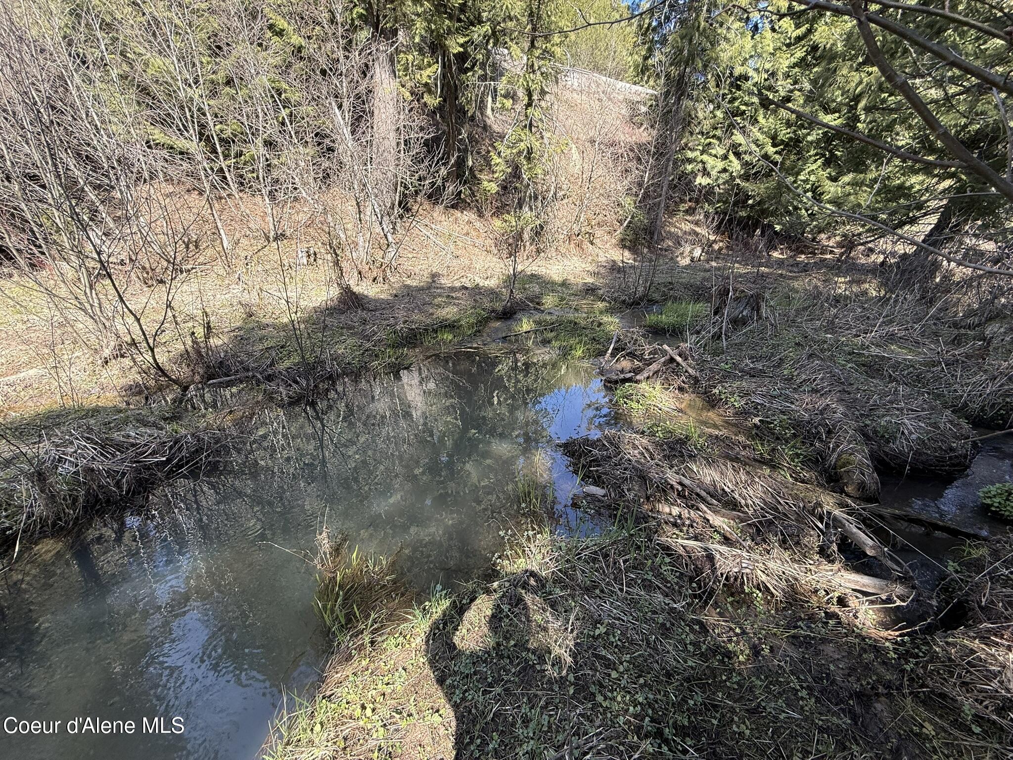 Nka Sanders Road St. Maries, ID 83861 - Photo 15 of 22 IMG_6435